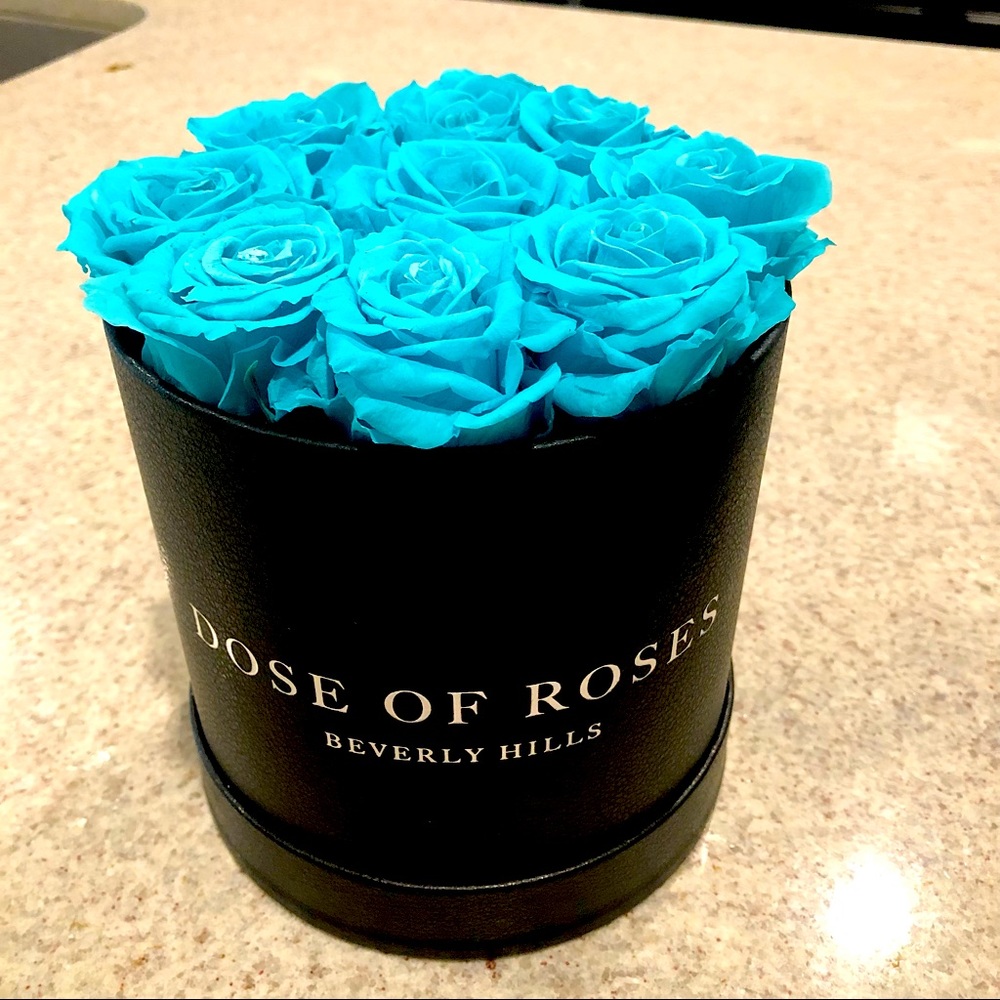 🌹 NEW Dose Of Roses  Beverly Hills